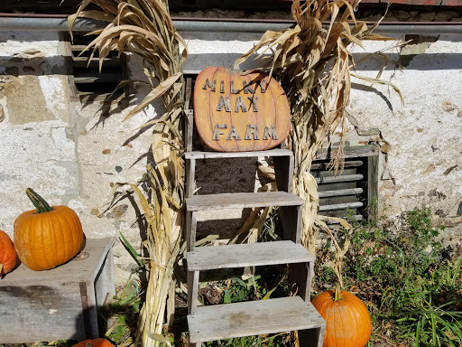 Dairy Farm «Milky Way Farm», reviews and photos, 521 E Uwchlan Ave, Chester Springs, PA 19425, USA