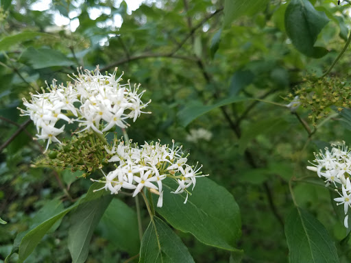 Nature Preserve «DeGraaf Nature Center», reviews and photos, 600 Graafschap Rd, Holland, MI 49423, USA