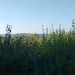 Photo n°13 de l'avis de Donatella.a fait le 12/07/2016 à 19:20 sur le  Podernovo Country Houses in Umbria à San Liberato