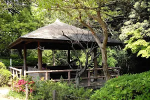 Denenchofu Seseragi Park image