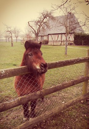 Photos des visiteurs Gîte Gites Croix Blanche 27230 Saint-Aubin-de-Scellon