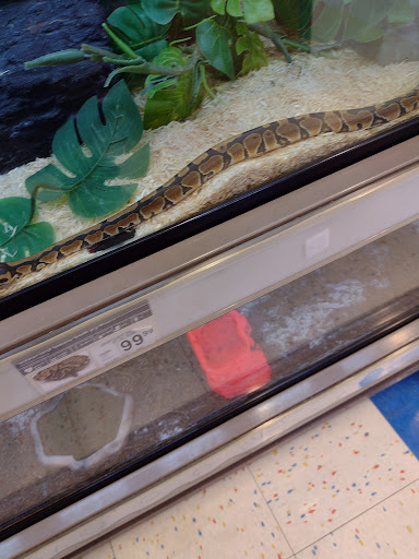 Pet Supply Store «Petco Animal Supplies», reviews and photos, 3680 Spencer Hwy, Pasadena, TX 77504, USA
