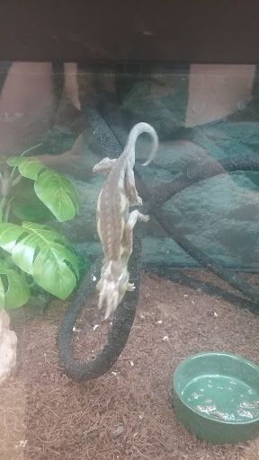 Pet Supply Store «Petco Animal Supplies», reviews and photos, 850 Statler Blvd, Staunton, VA 24401, USA