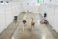 Who's Your Doggie - Photo 8 - Car repair in Milford, CT, Bridgeport