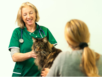 Lynwood Veterinary Group, Bournemouth