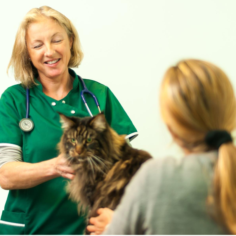 Lynwood Veterinary Group, Bournemouth