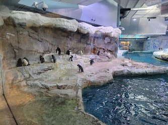 Polk Penguin Conservation Center