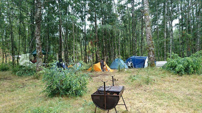 La Manada Camping - Camping