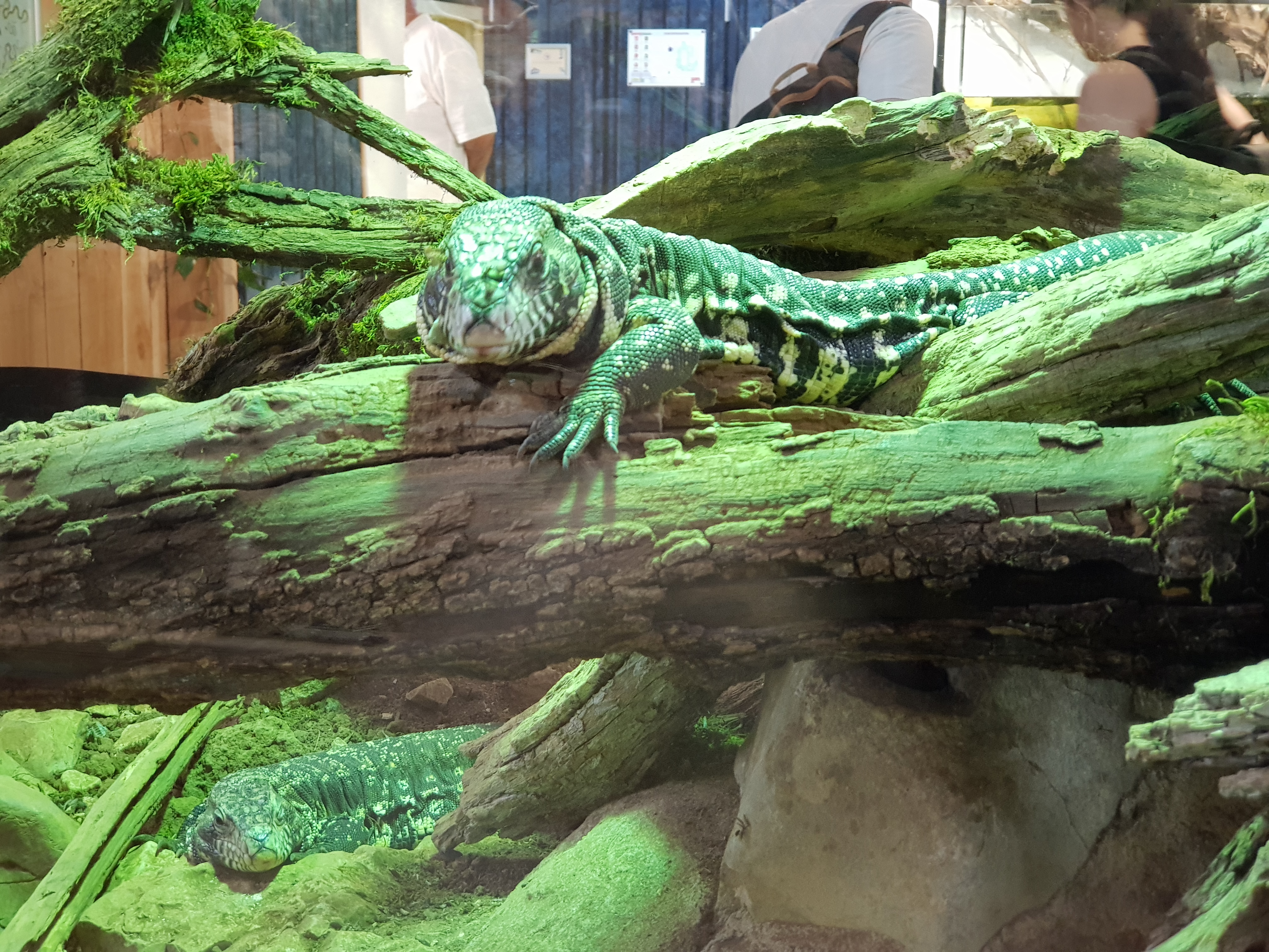 Photo n° 2 de l'avis de Coralie.u fait le 15/08/2023 à 14:53