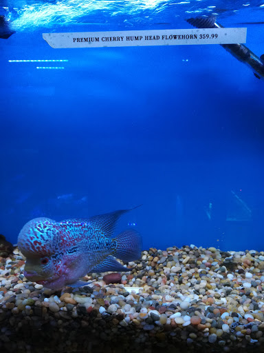 Pet Store «Pets & Such», reviews and photos, 3680 3500 S, West Valley City, UT 84120, USA