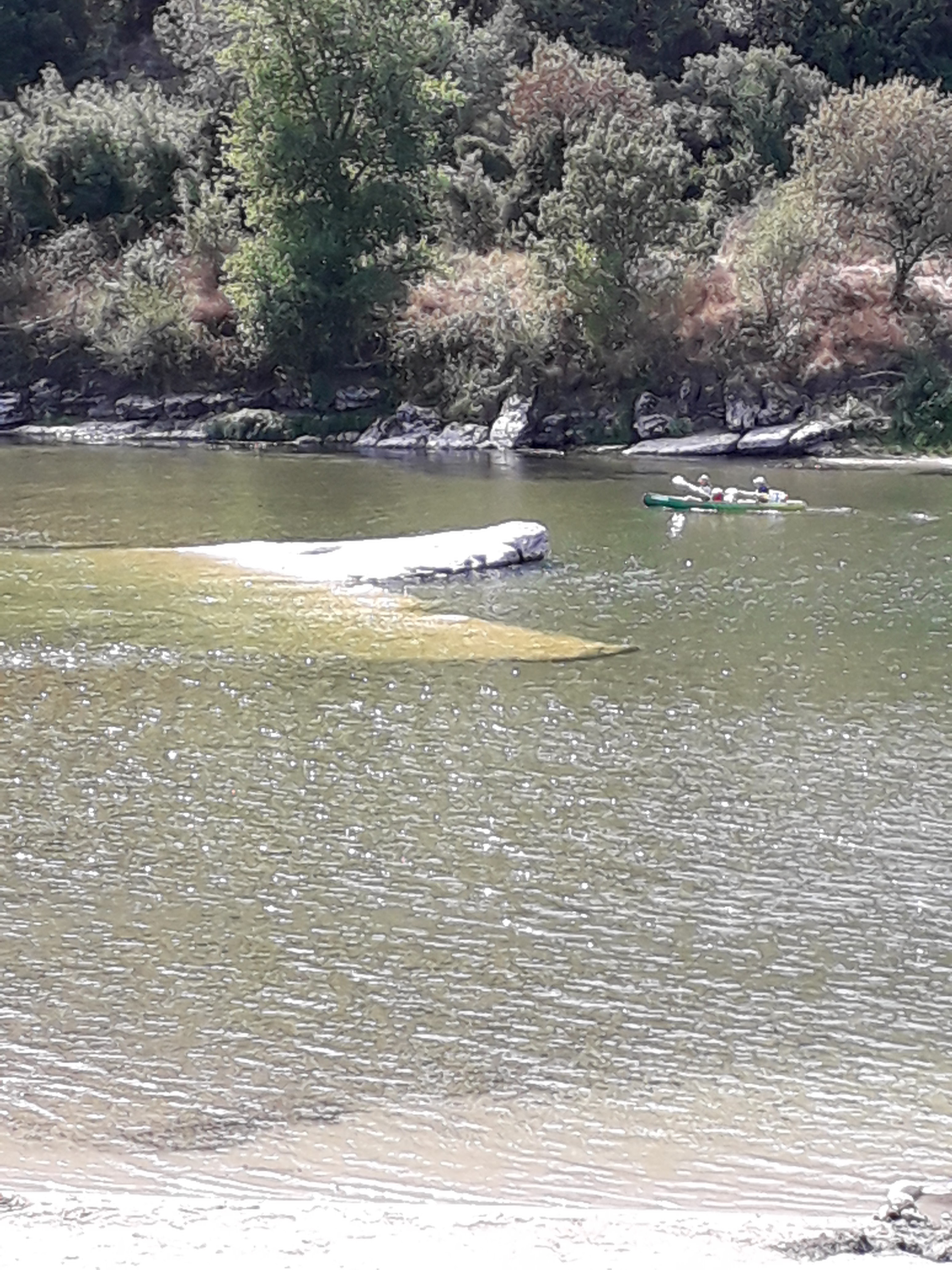 Photo n° 1 de l'avis de Didier.a fait le 06/09/2019 à 18:30