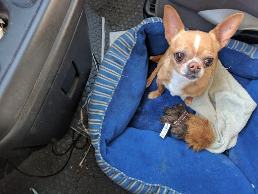 Pet Supply Store «Petco Animal Supplies», reviews and photos, 19767 Haynes Road, Catoosa, OK 74421, USA