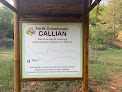 Forêt communale Callian Callian