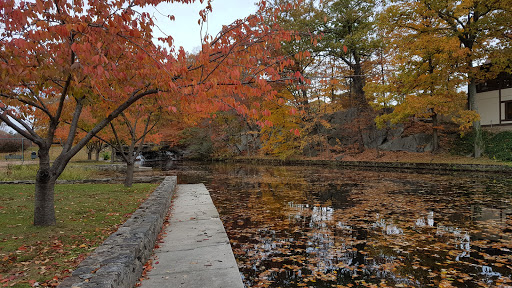 Golf Club «The Milbrook Club», reviews and photos, 61 Woodside Dr, Greenwich, CT 06830, USA