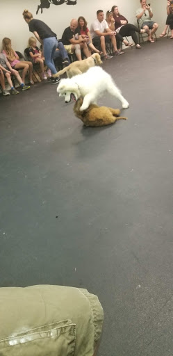 Pet Supply Store «Dogology», reviews and photos, 166 Albany Turnpike, Canton, CT 06019, USA