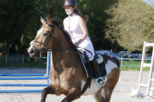 Centre Equestre De Treon à Tréon, Eure-et-Loir