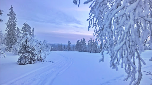 Appliance Store «P.C. Richard & Son», reviews and photos, 113-14 Queens Blvd, Forest Hills, NY 11375, USA