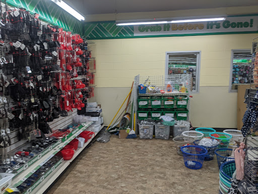 Dollar Store «Dollar Tree», reviews and photos, 10237 Rosecrans Ave, Bellflower, CA 90706, USA