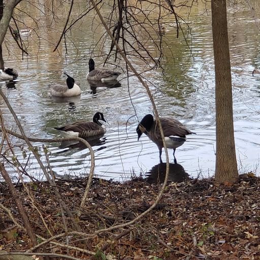 Nature Preserve «The Celery Farm», reviews and photos, Franklin Turnpike, Allendale, NJ 07401, USA