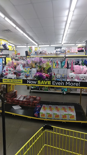 Discount Store «Dollar General», reviews and photos, 10023 KY-80, Fancy Farm, KY 42039, USA