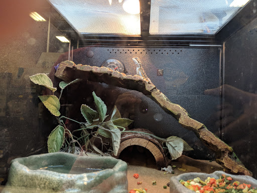 Pet Supply Store «PetSmart», reviews and photos, 2940 Chapel Hill Rd, Douglasville, GA 30135, USA