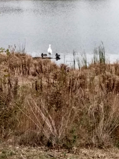 Park «Springfield Park», reviews and photos, 269 Springfield Dr, Bloomingdale, IL 60108, USA