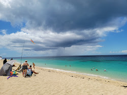 Sandy Point beach'in fotoğrafı vahşi alan
