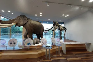 Toyama Science Museum image