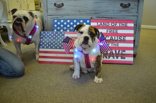 Florist «Gillespie Florists», reviews and photos, 9255 W 10th St, Indianapolis, IN 46234, USA