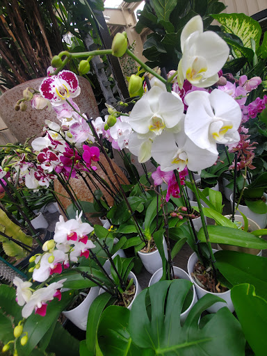 Green Acres Nursery & Supply image