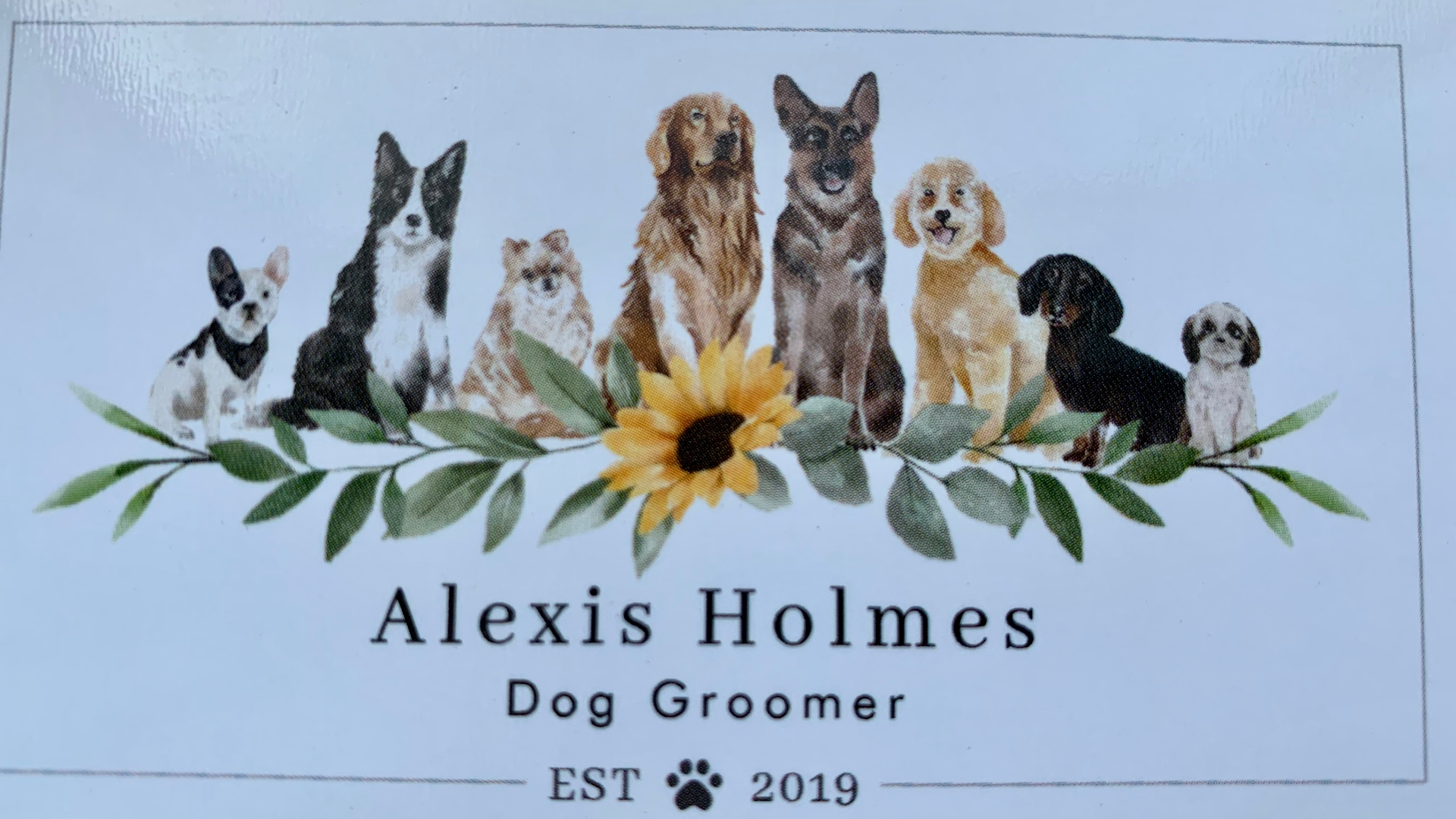 Alexis Holmes Dog Groomer LLC