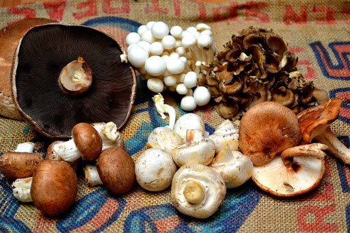 Natural Foods Store «Harvest Market Natural Foods», reviews and photos, 7417 Lancaster Pike, Hockessin, DE 19707, USA