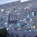 Urban Roots Brewery & Smokehouse photo taken 3 years ago