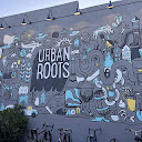 Urban Roots Brewery & Smokehouse photo taken 1 year ago