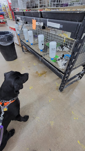 Department Store «Rural King», reviews and photos, 1000 N Main St, Marysville, OH 43040, USA