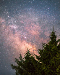 Skylar Pettingill Photography - Photo 5 - Car repair in , Bonita Springs