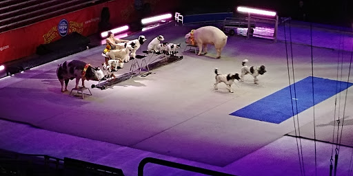 Arena «EagleBank Arena», reviews and photos, 4500 Patriot Cir, Fairfax, VA 22030, USA