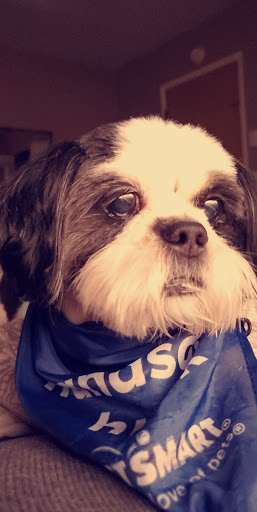 Pet Supply Store «PetSmart», reviews and photos, 430 NW Eastman Pkwy, Gresham, OR 97030, USA