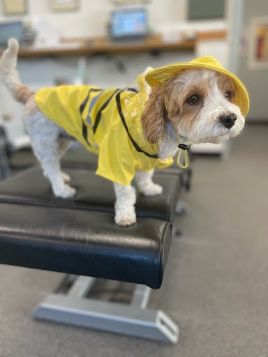 6501-C 196th St SW, Lynnwood, WA 98036, USA