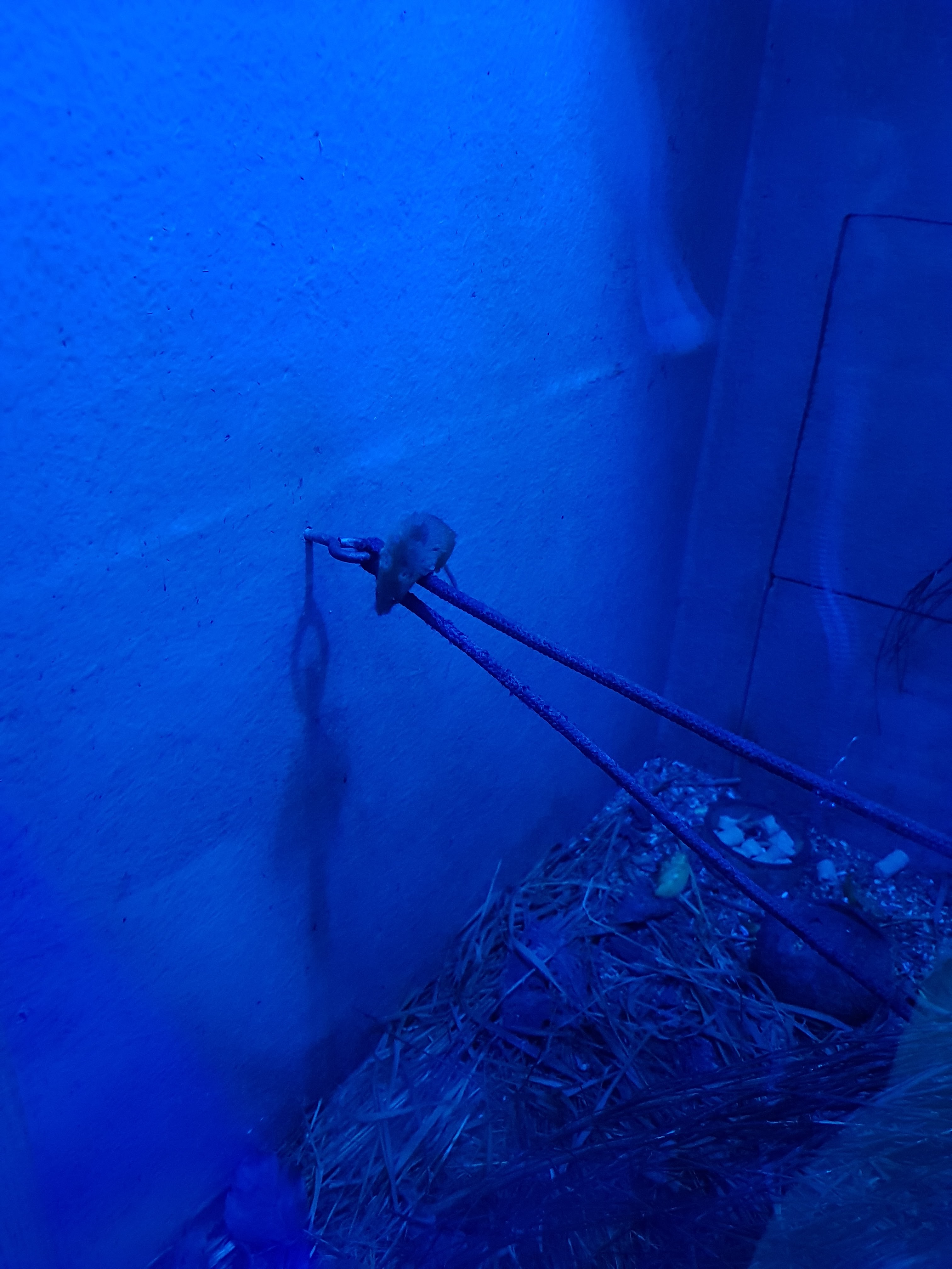 Photo n° 9 de l'avis de Elo.b fait le 09/06/2019 à 12:26