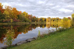 Beaver Pond image