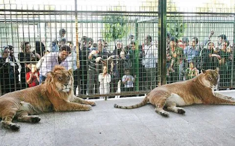 Vakil Abad Zoo image