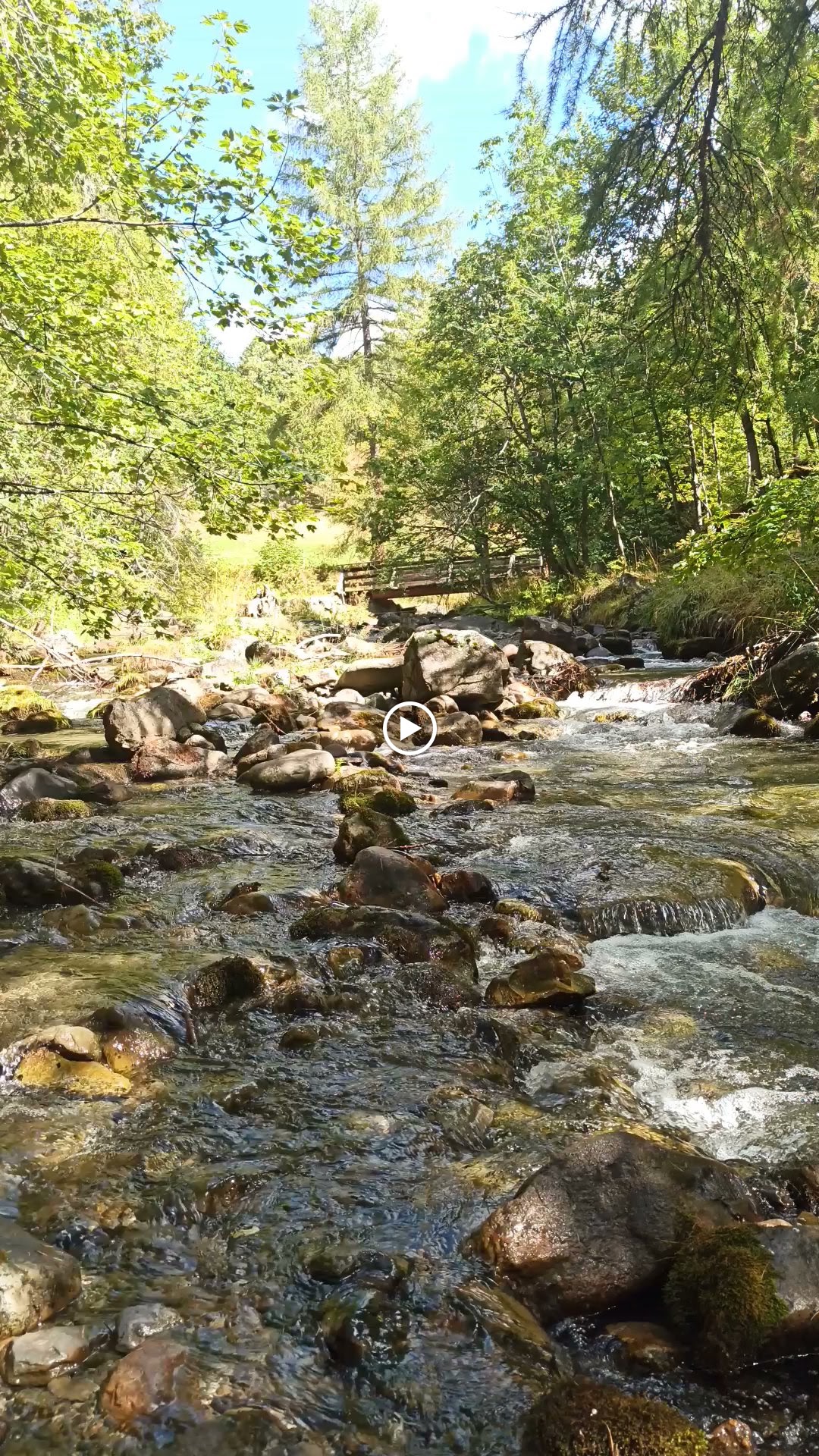 Photo n° 6 de l'avis de Pourcelot.o fait le 15/09/2023 à 11:34