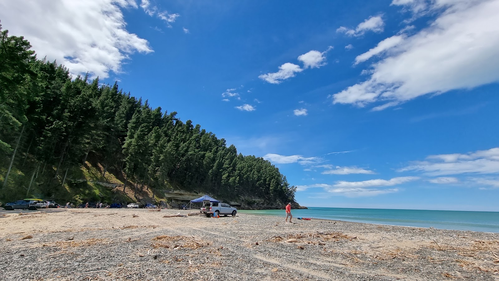 Foto von Teviotdale Beach mit beiger sand & kies Oberfläche