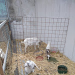 Photo n°4 de l'avis de Mario.o fait le 30/05/2021 à 20:11 sur le  Agriturismo Vivinatura Hotel Country Resort à Pompei