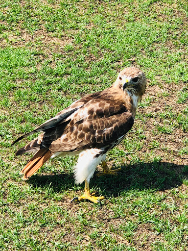 Public Golf Course «Falls Road Golf Course», reviews and photos, 10800 Falls Rd, Potomac, MD 20854, USA