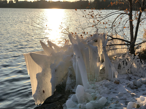 Park «Lake of the Isles Dog Park», reviews and photos, 2845 W Lake of the Isles Pkwy, Minneapolis, MN 55405, USA