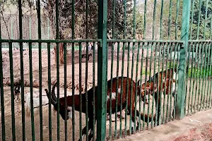 حديقة الحيوانات image