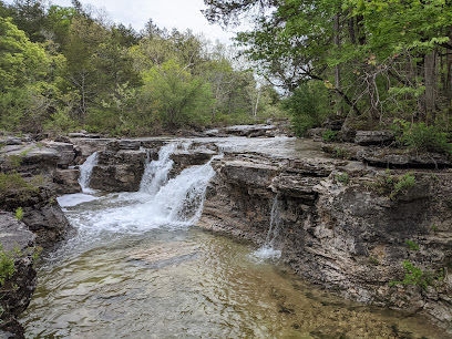 Wilderness center