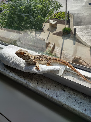 Pet Supply Store «PetSmart», reviews and photos, 10 Hazard Ave, Enfield, CT 06082, USA